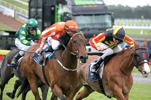 PLANET ROCK 1000 Guineas 2011 2